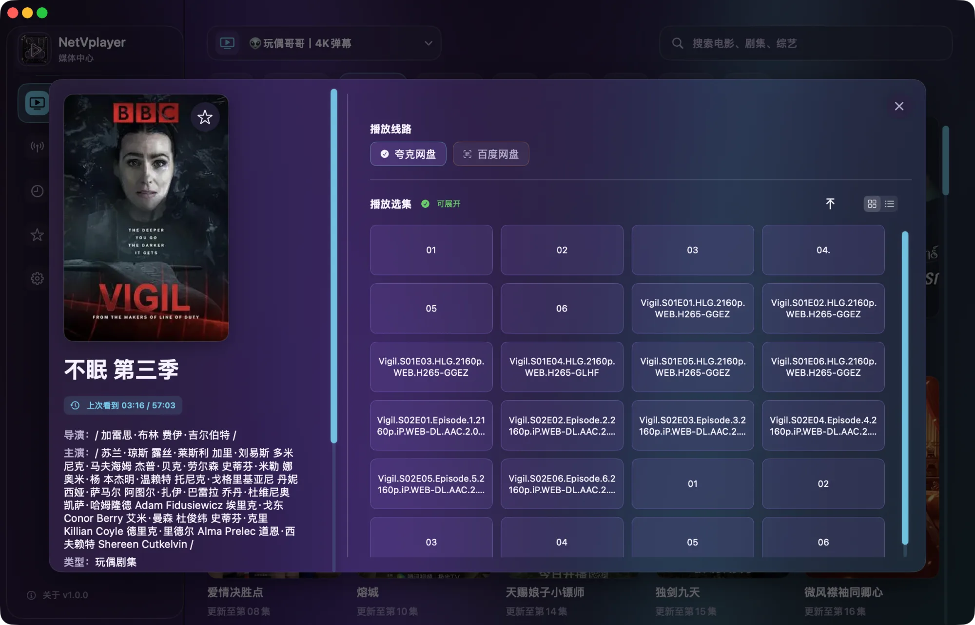 NetVplayer 影片详情与选集的实际运行界面